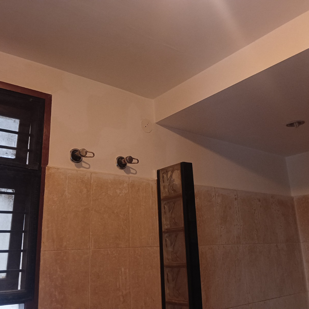 Before Image 2